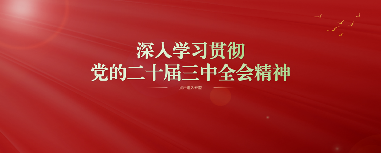 二十届三中全会